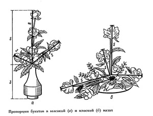 Золотое сечение