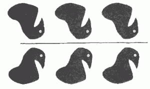 66