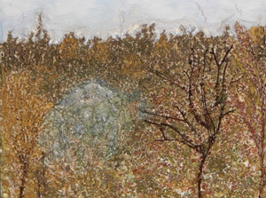 Виды флористических работ.Коллаж пейзаж